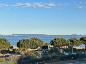 Appartement pieds dans l’eau Vue Mer Bormes Les Mimosas
